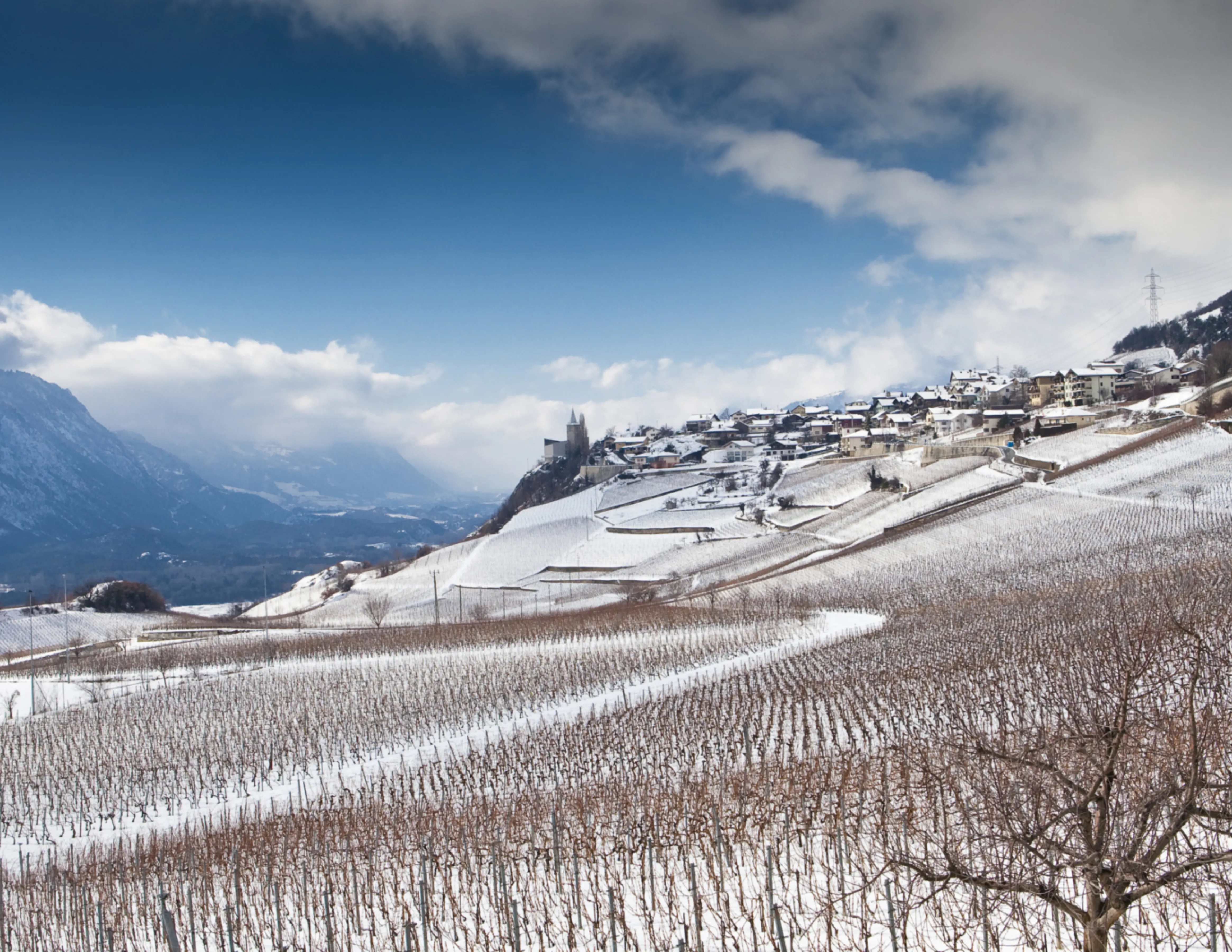 Visita il villaggio vinicolo di Varen